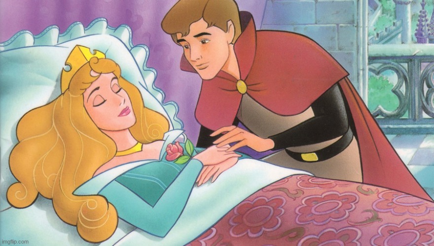 Sleeping Beauty | image tagged in sleeping beauty | made w/ Imgflip meme maker