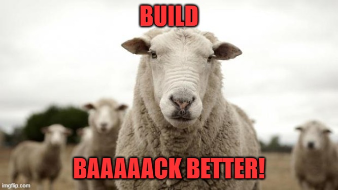 Sheep | BUILD BAAAAACK BETTER! | image tagged in sheep | made w/ Imgflip meme maker