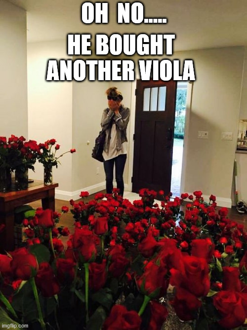 Valentine's Day | HE BOUGHT ANOTHER VIOLA; OH  NO..... | image tagged in roses gift | made w/ Imgflip meme maker