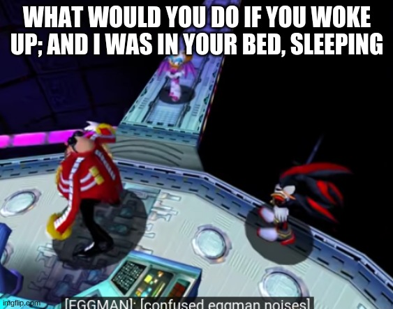 confused eggman noises | WHAT WOULD YOU DO IF YOU WOKE UP; AND I WAS IN YOUR BED, SLEEPING | image tagged in confused eggman noises | made w/ Imgflip meme maker