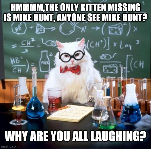 Chemistry Cat | HMMMM,THE ONLY KITTEN MISSING IS MIKE HUNT, ANYONE SEE MIKE HUNT? WHY ARE YOU ALL LAUGHING? | image tagged in memes,chemistry cat | made w/ Imgflip meme maker