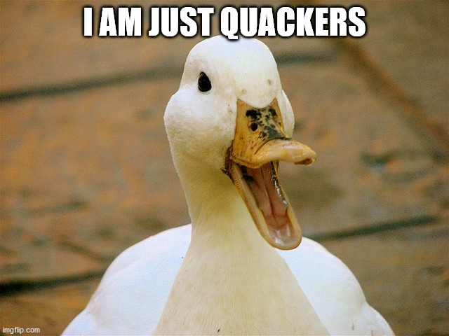 Duck | I AM JUST QUACKERS | image tagged in duck | made w/ Imgflip meme maker