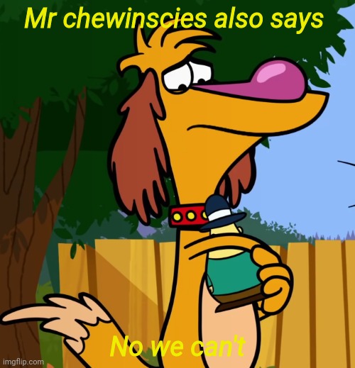 Mr chewinscies also says No we can't | image tagged in lovely hal nature cat | made w/ Imgflip meme maker