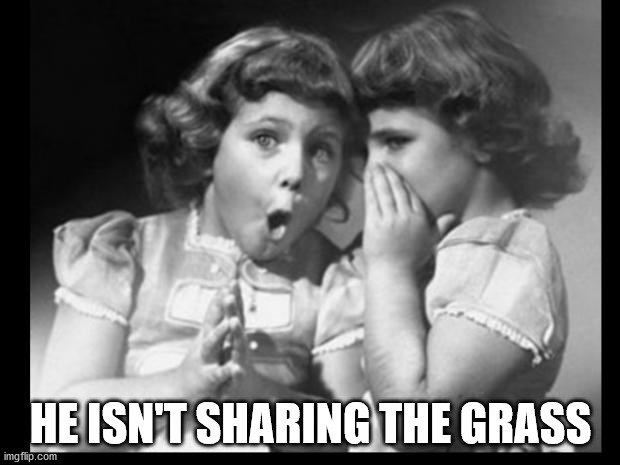 Friends sharing | HE ISN'T SHARING THE GRASS | image tagged in friends sharing | made w/ Imgflip meme maker