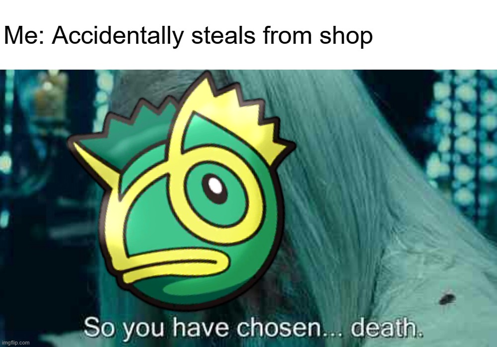 Me: Accidentally steals from shop | image tagged in so you have chosen death | made w/ Imgflip meme maker