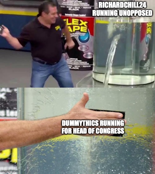 Don't be a dummy vote for Thiccs | RICHARDCHILL24 RUNNING UNOPPOSED; DUMMYTHICS RUNNING FOR HEAD OF CONGRESS | image tagged in flex tape,vote | made w/ Imgflip meme maker