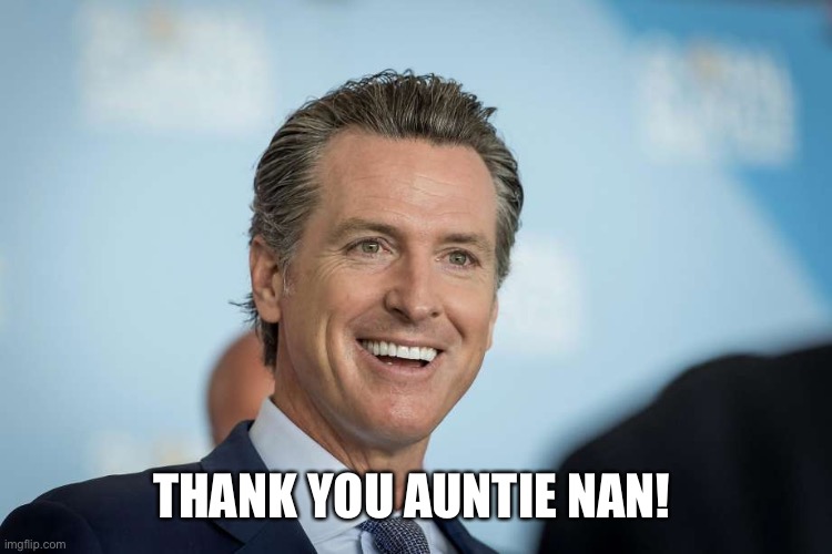 Gavin Newsom | THANK YOU AUNTIE NAN! | image tagged in gavin newsom | made w/ Imgflip meme maker