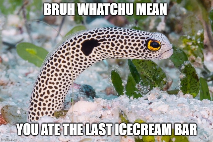 bruh. uncool. | BRUH WHATCHU MEAN; YOU ATE THE LAST ICECREAM BAR | image tagged in icecream | made w/ Imgflip meme maker