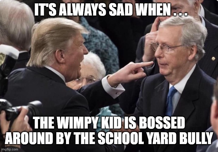 Mitch McConnell Bullied By Trump | IT'S ALWAYS SAD WHEN . . . THE WIMPY KID IS BOSSED AROUND BY THE SCHOOL YARD BULLY | image tagged in trump,bullying,bully,violence,mitch mcconnell,turtle | made w/ Imgflip meme maker