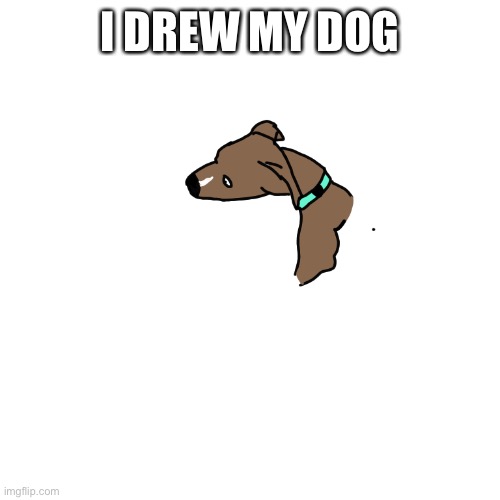 I drew my dog | I DREW MY DOG | image tagged in drew my dog | made w/ Imgflip meme maker
