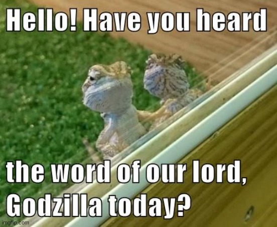 image tagged in bearded dragon,jehovah's witness | made w/ Imgflip meme maker