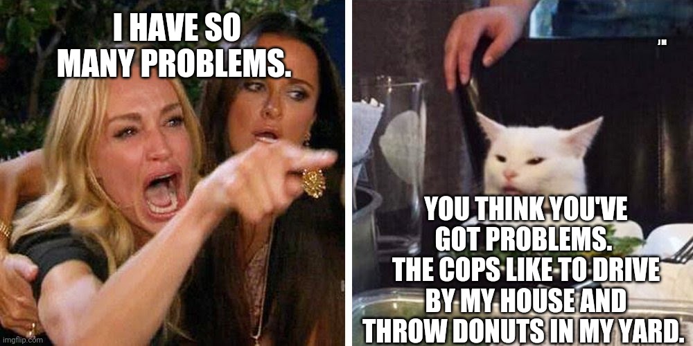 Smudge the cat | J M; I HAVE SO MANY PROBLEMS. YOU THINK YOU'VE GOT PROBLEMS.  THE COPS LIKE TO DRIVE BY MY HOUSE AND THROW DONUTS IN MY YARD. | image tagged in smudge the cat | made w/ Imgflip meme maker