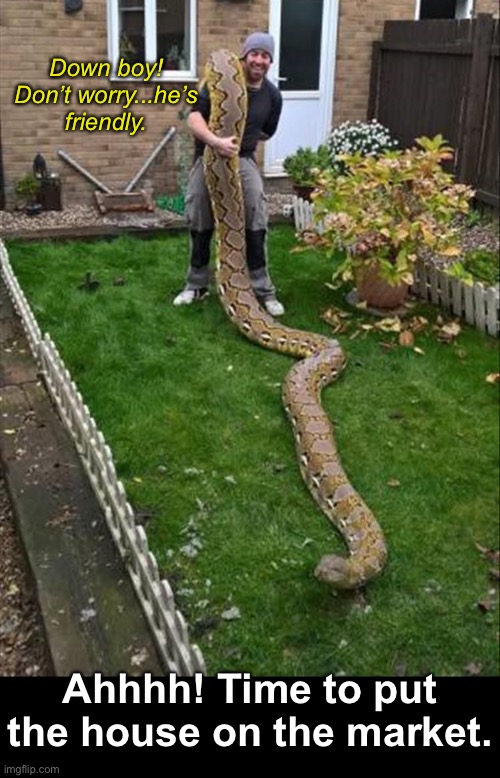 Weird Neighbors | Down boy!
Don’t worry...he’s friendly. Ahhhh! Time to put the house on the market. | image tagged in funny memes,neighbors,snakes | made w/ Imgflip meme maker