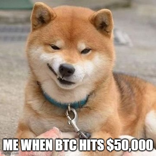Doge smirk meme |  ME WHEN BTC HITS $50,000 | image tagged in doge,smirk,funny memes | made w/ Imgflip meme maker