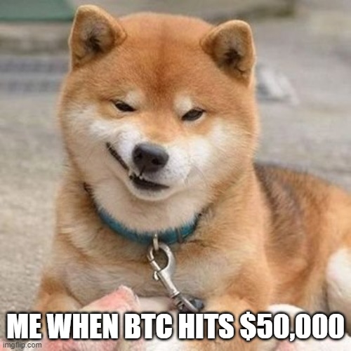 Doge smirk meme | ME WHEN BTC HITS $50,000 | image tagged in doge,smirk,funny memes | made w/ Imgflip meme maker