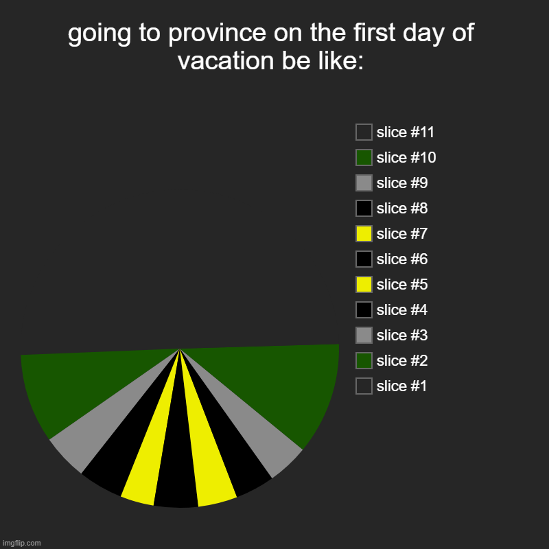 woah | going to province on the first day of vacation be like: | | image tagged in charts,pie charts | made w/ Imgflip chart maker