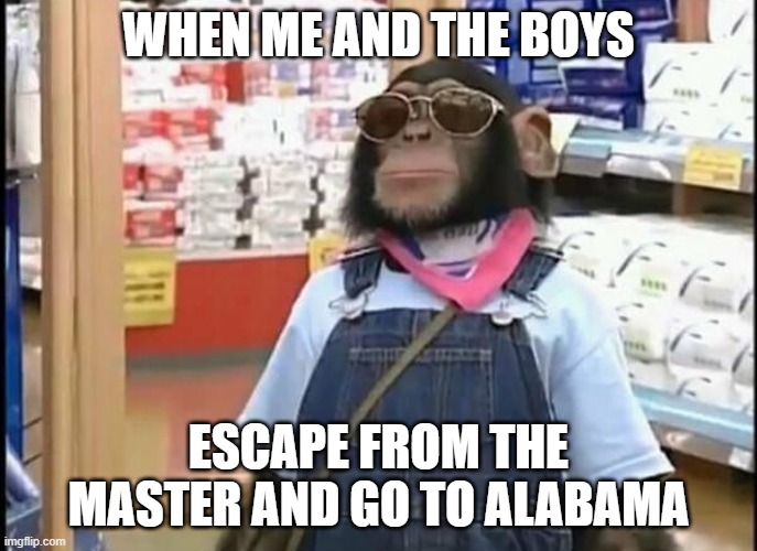 Me and the boys | WHEN ME AND THE BOYS; ESCAPE FROM THE MASTER AND GO TO ALABAMA | image tagged in monkey,alabama,fun,crazy | made w/ Imgflip meme maker