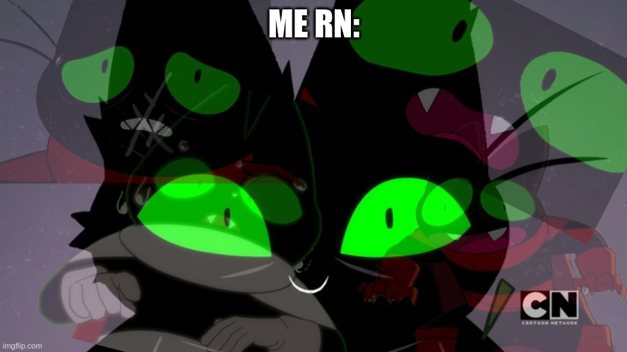 i'm questioning my sanity as well | ME RN: | image tagged in mao mao hide the pain | made w/ Imgflip meme maker