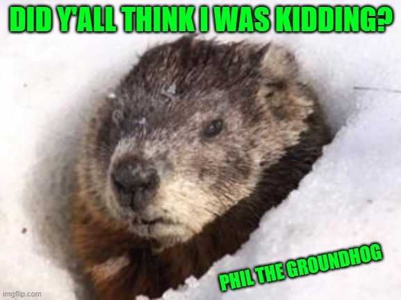 groundhog in snow | DID Y'ALL THINK I WAS KIDDING? PHIL THE GROUNDHOG | image tagged in groundhog in snow | made w/ Imgflip meme maker