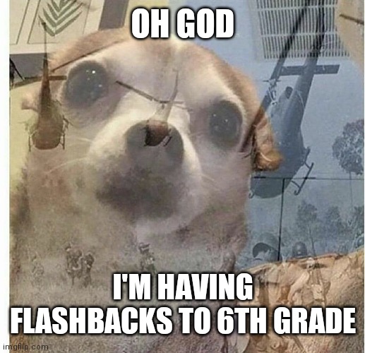 PTSD Chihuahua | OH GOD I'M HAVING FLASHBACKS TO 6TH GRADE | image tagged in ptsd chihuahua | made w/ Imgflip meme maker