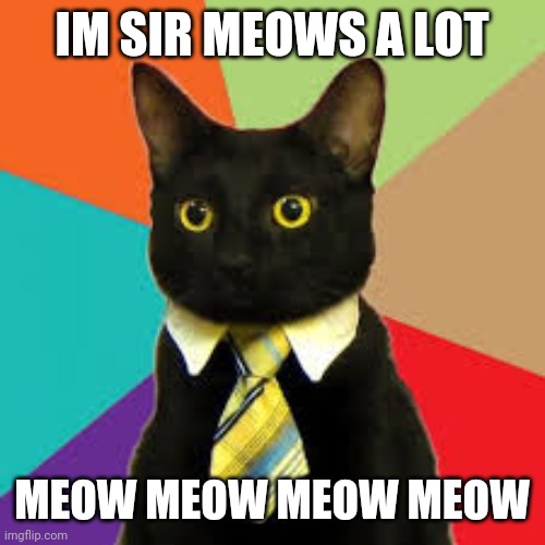Buisness Cat  | IM SIR MEOWS A LOT; MEOW MEOW MEOW MEOW | image tagged in buisness cat | made w/ Imgflip meme maker
