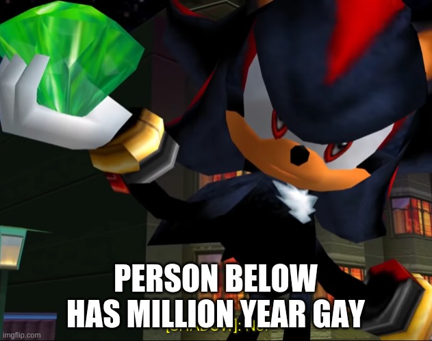 Shadow saying no | PERSON BELOW HAS MILLION YEAR GAY | image tagged in shadow saying no | made w/ Imgflip meme maker