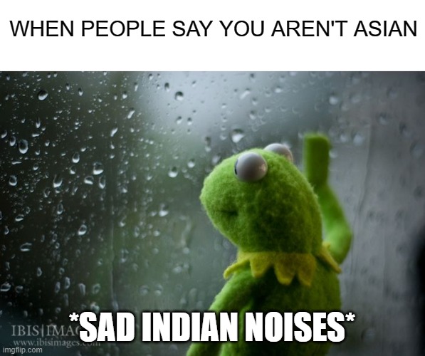 i argued on this for so long | WHEN PEOPLE SAY YOU AREN'T ASIAN; *SAD INDIAN NOISES* | image tagged in kermit window,asian,india | made w/ Imgflip meme maker