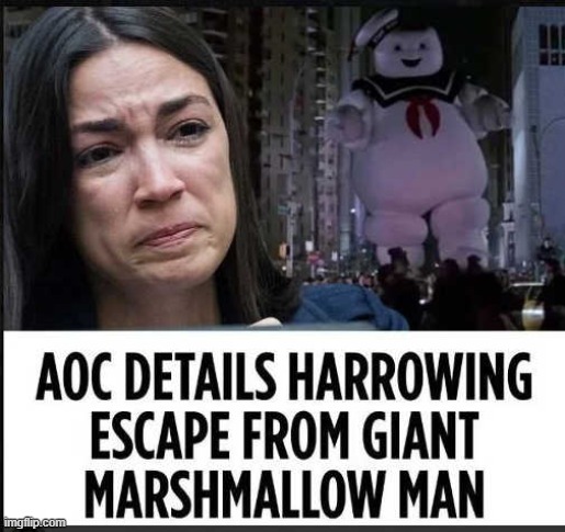The Psychological Trauma must of been Horrific. LOL | image tagged in aoc,stay puft marshmallow man | made w/ Imgflip meme maker