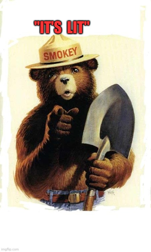 Smokey The Bear | "IT'S  LIT" | image tagged in smokey the bear | made w/ Imgflip meme maker