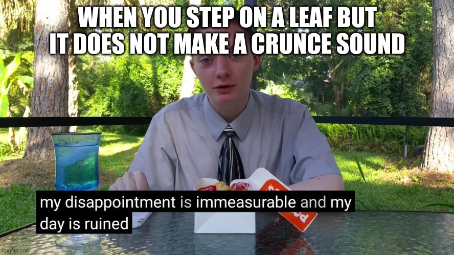 My Disappointment Is Immeasurable | WHEN YOU STEP ON A LEAF BUT IT DOES NOT MAKE A CRUNCE SOUND | image tagged in my disappointment is immeasurable | made w/ Imgflip meme maker