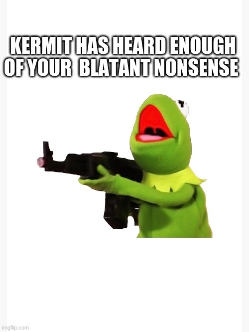 Lol took me 15 mins to think of this | KERMIT HAS HEARD ENOUGH OF YOUR  BLATANT NONSENSE | image tagged in funny,meme,msmg,lol,laugh,joke | made w/ Imgflip meme maker