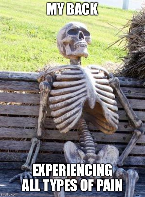 Waiting Skeleton | MY BACK; EXPERIENCING ALL TYPES OF PAIN | image tagged in memes,waiting skeleton | made w/ Imgflip meme maker