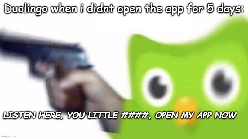 OPEN APP NOW | Duolingo when i didnt open the app for 5 days:; LISTEN HERE, YOU LITTLE ####, OPEN MY APP NOW | image tagged in duolingo gun | made w/ Imgflip meme maker