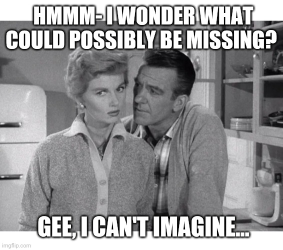 HMMM- I WONDER WHAT COULD POSSIBLY BE MISSING? GEE, I CAN'T IMAGINE... | made w/ Imgflip meme maker