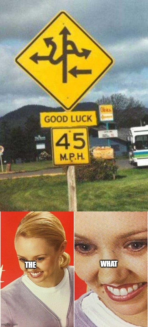 this sign actually exists | WHAT; THE | image tagged in wait what,road,funny road signs,what | made w/ Imgflip meme maker