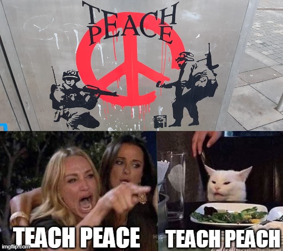 TEACH PEACE; TEACH PEACH | image tagged in woman yelling at cat | made w/ Imgflip meme maker