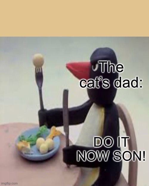 The cat’s dad: DO IT NOW SON! | image tagged in memes,drake hotline bling | made w/ Imgflip meme maker