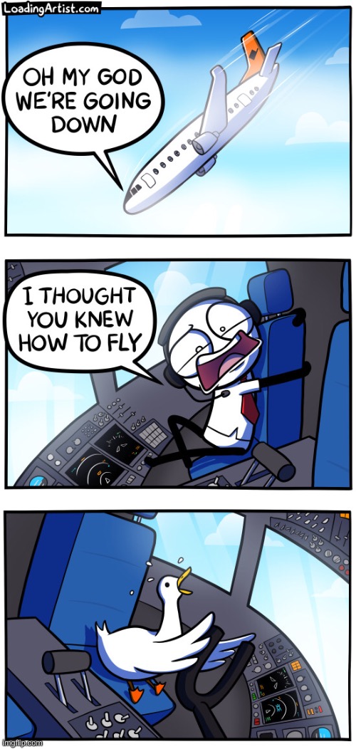 Why can’t a GOOSE fly? | image tagged in memes,funny,comics,plane,flying,crash | made w/ Imgflip meme maker