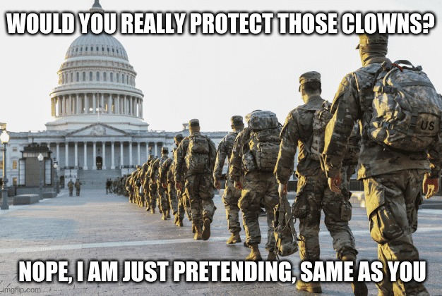 Send the troops home | WOULD YOU REALLY PROTECT THOSE CLOWNS? NOPE, I AM JUST PRETENDING, SAME AS YOU | image tagged in troops capitol washington dc,send the troops home,never defend communists,this we will not defend,remove the wall | made w/ Imgflip meme maker