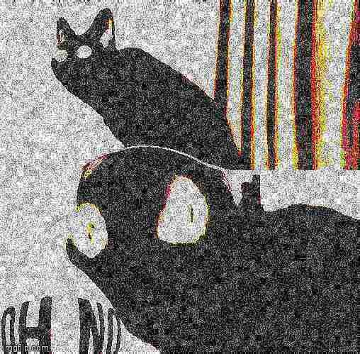 Deep fried oh no cat | image tagged in deep fried oh no cat | made w/ Imgflip meme maker