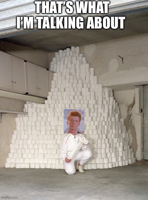 Rick with Rolls | THAT’S WHAT I’M TALKING ABOUT | image tagged in mountain of toilet paper | made w/ Imgflip meme maker