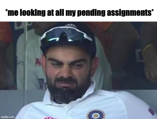 sed lyf | *me looking at all my pending assignments* | image tagged in cricket | made w/ Imgflip meme maker