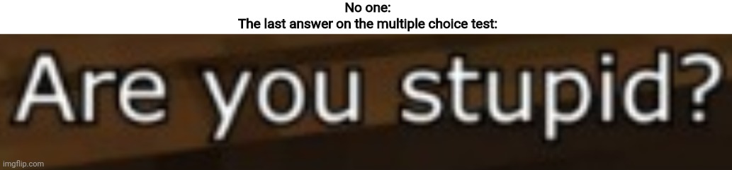 I got the idea from this meme: https://imgflip.com/i/4wq3rl | No one:
The last answer on the multiple choice test: | image tagged in are you stupid | made w/ Imgflip meme maker