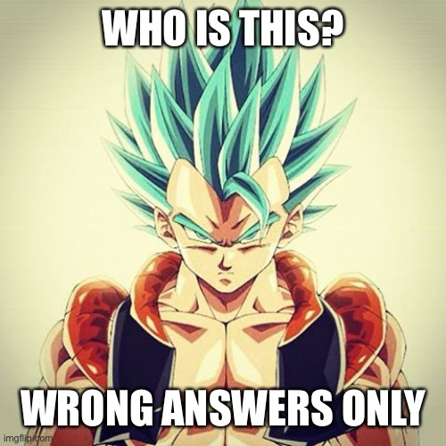 Yes | WHO IS THIS? WRONG ANSWERS ONLY | image tagged in gogeta | made w/ Imgflip meme maker