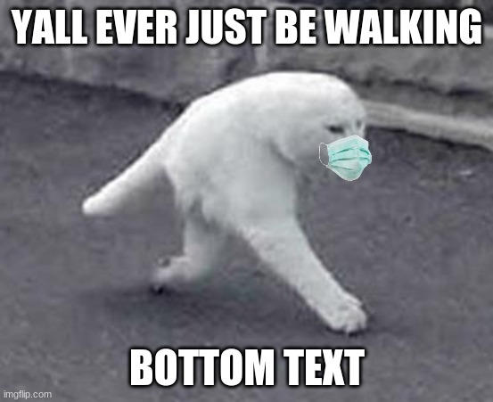 walk | YALL EVER JUST BE WALKING; BOTTOM TEXT | image tagged in walking white cat | made w/ Imgflip meme maker