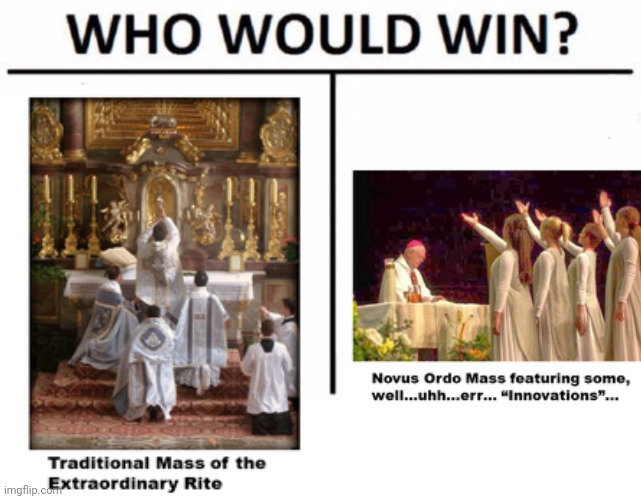 Do you prefer the TLM or the NO? | image tagged in memes,who would win | made w/ Imgflip meme maker