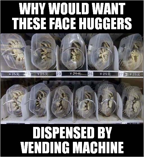 Japanese Face Huggers for Sale ! | WHY WOULD WANT THESE FACE HUGGERS; DISPENSED BY VENDING MACHINE | image tagged in fun,face huggers,vending machine | made w/ Imgflip meme maker