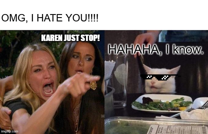 Karens | OMG, I HATE YOU!!!! KAREN JUST STOP! HAHAHA, I know. | image tagged in memes,woman yelling at cat | made w/ Imgflip meme maker