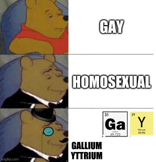 Tuxedo Winnie the Pooh (3 panel) | GAY; HOMOSEXUAL; GALLIUM
YTTRIUM | image tagged in tuxedo winnie the pooh 3 panel | made w/ Imgflip meme maker