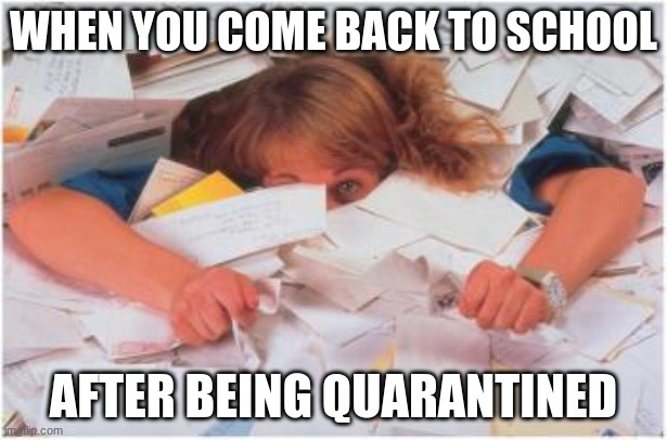 back to school make-up homework | WHEN YOU COME BACK TO SCHOOL; AFTER BEING QUARANTINED | image tagged in pile of papers,homweork | made w/ Imgflip meme maker